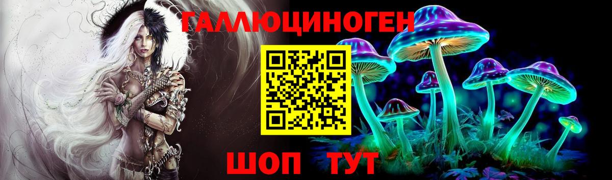 Псилоцибиновые грибы мицелий Клин