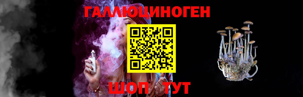 Клин  где найти   Вход с VPN  Псилоцибиновые грибы Cubensis 